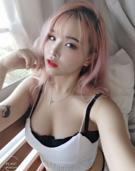 康熙王朝电视剧免费看_蓝光高清全集免费观看