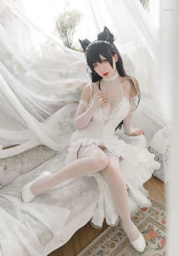 真爱禁区电视剧免费观看全集_DVD在线观看电视