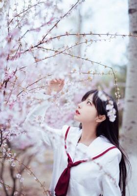 恋爱杂货铺_高清高清在线